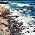 Along Marginal Way Ogunquit ME
