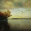 The Lake