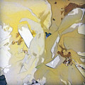 Yellow Tulip Abstract